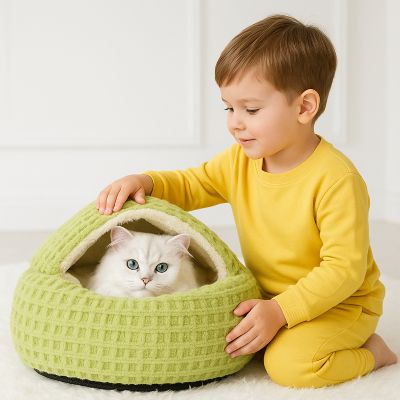 maison chat refuge couleur vert avec enfant