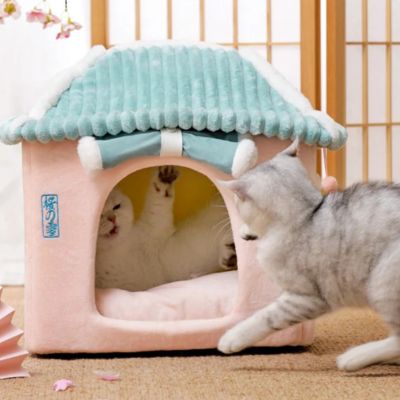 maison pour chat paillote avec chats joueurs