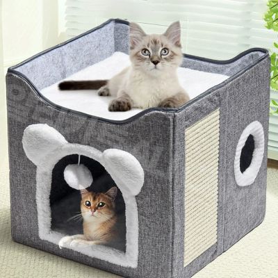 maison pour chat rooftop avec porte arche