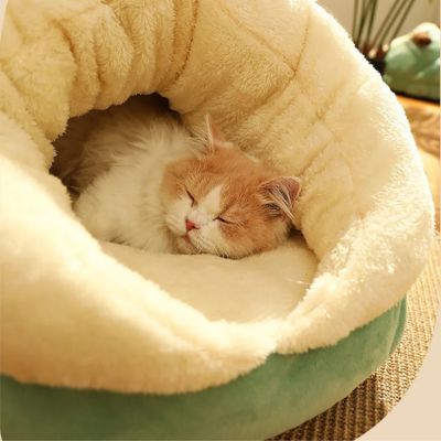 niche pour chat chausson vert avec chat qui dort