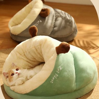 niche pour chat chausson vert