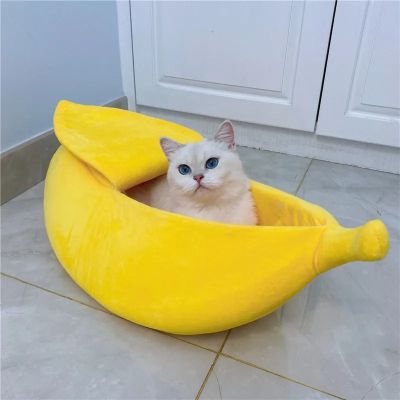 niche pour chaton bananas avec bebe siamois