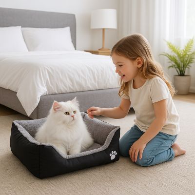 panier chat pattounet noir