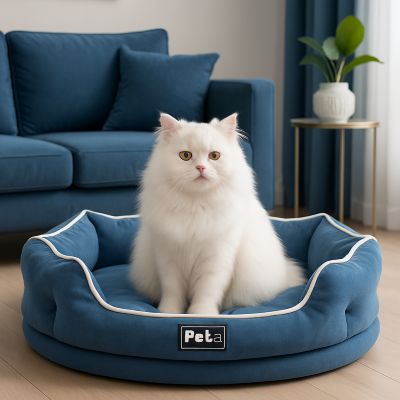 panier pour chat fango bleu